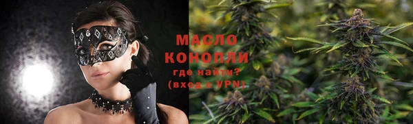 дживик Каменка
