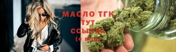 дживик Каменка
