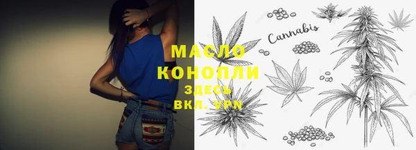 дживик Каменка