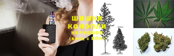 прущие крисы Каменногорск