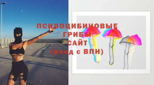 прущие крисы Каменногорск