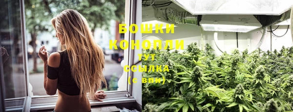 прущие крисы Каменногорск