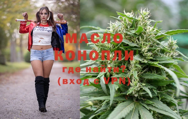дживик Каменка
