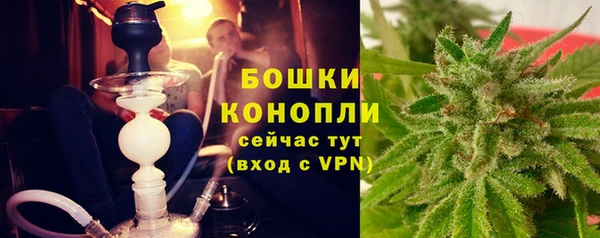 прущие крисы Каменногорск