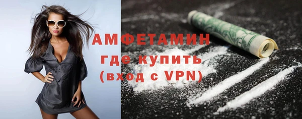 дживик Каменка
