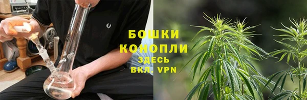 прущие крисы Каменногорск